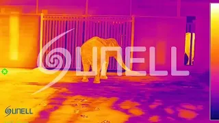 Sunell Thermal Camera - Elephant Dancing - 翻译中...