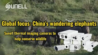 Des caméras thermiques Sunell pour la conservation de la faune